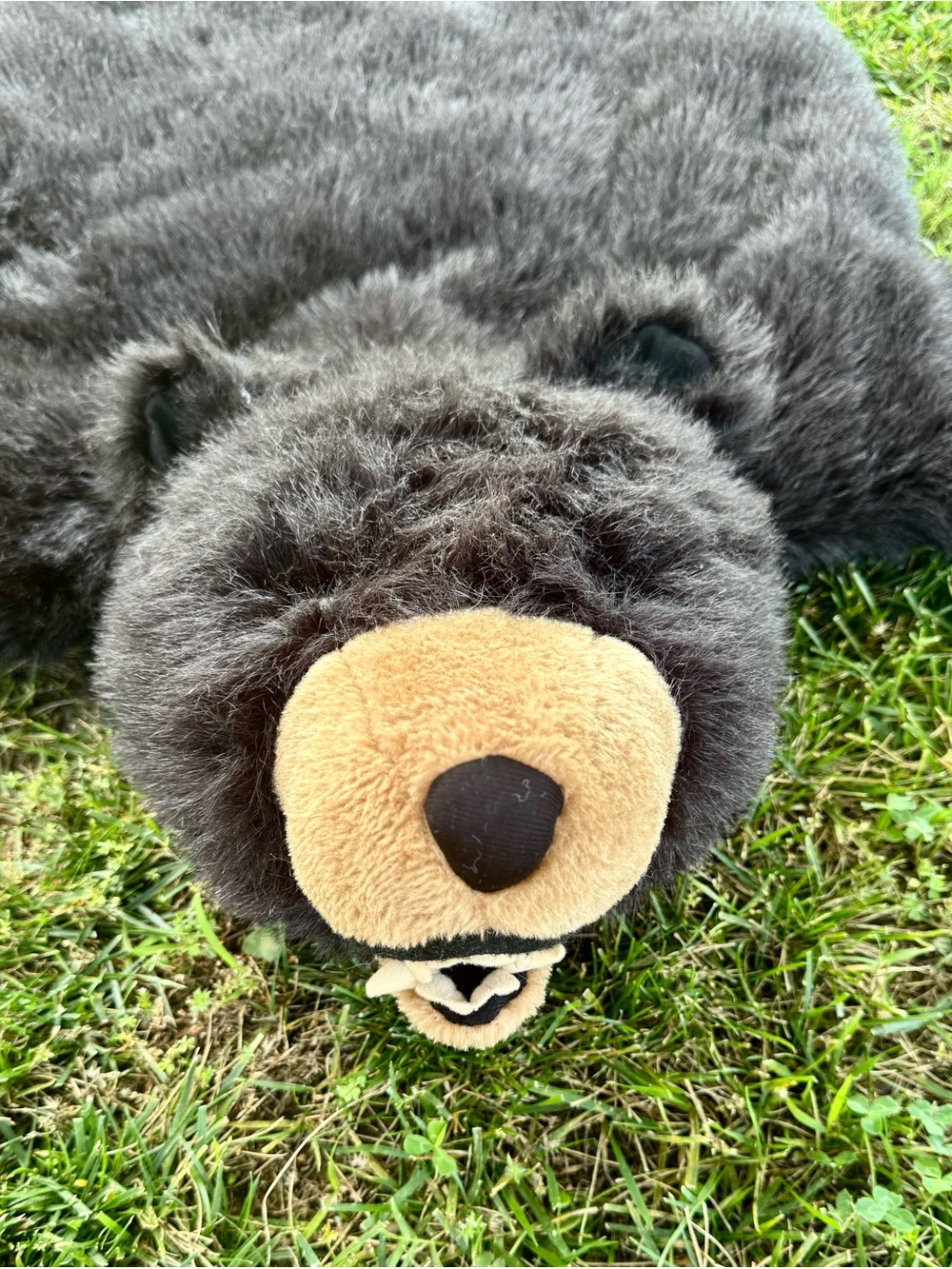 Faux Fur Black Bear Rug - Picture 2 of 5